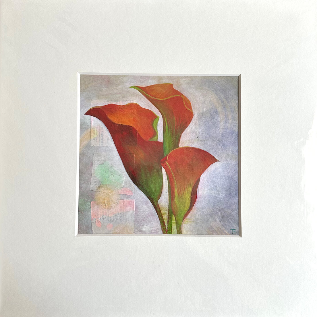 Teresa Flavin's Orange Calla Lilies painting in a white mount.