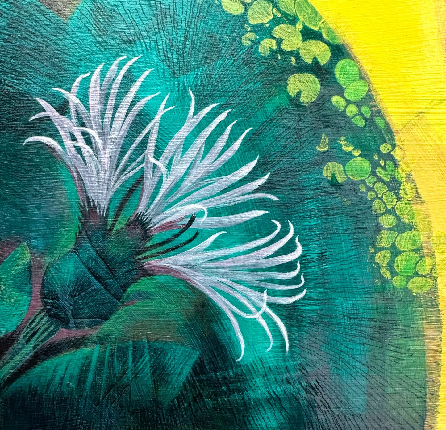 Spiky white flower detail against teal and yellow background in Teresa Flavin's painting, Angelique.